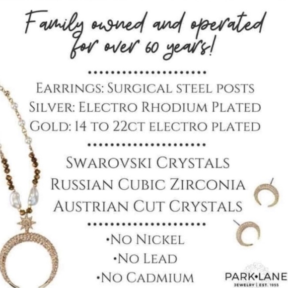 🆕Park Lane Oui Earrings Hematite TearDrop Hooks - Picture 14 of 16